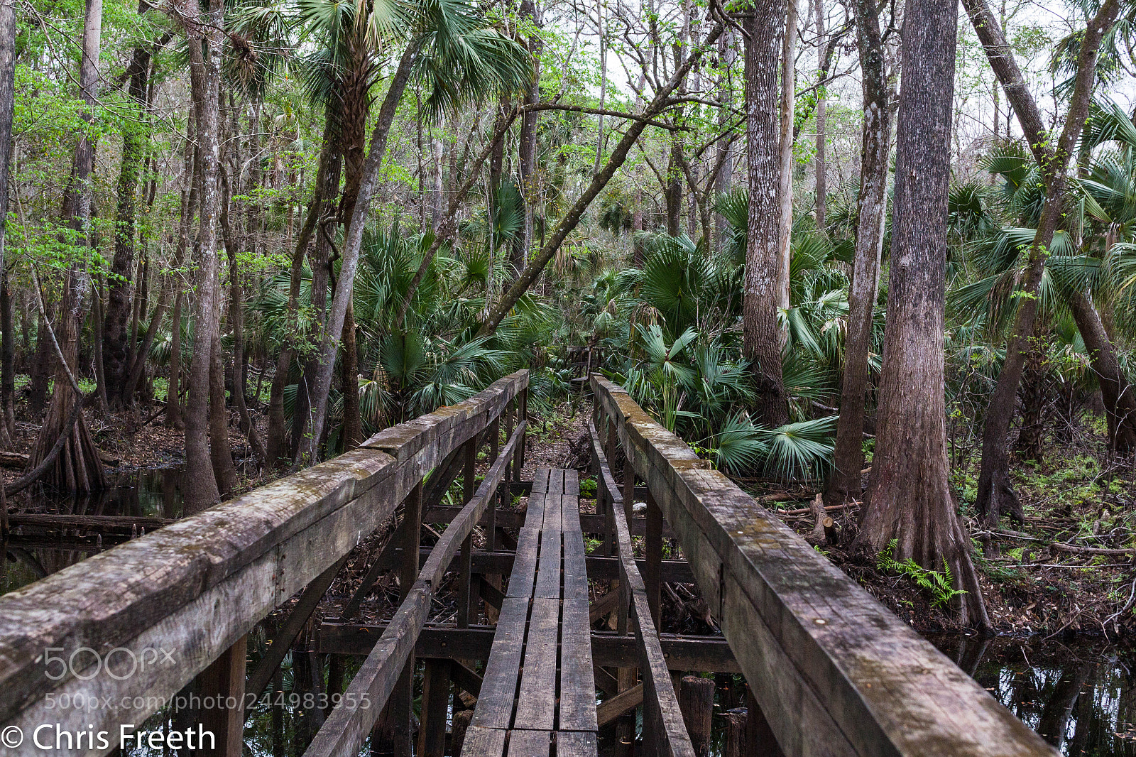 Canon EOS 700D (EOS Rebel T5i / EOS Kiss X7i) sample photo. The bridge to adventure photography