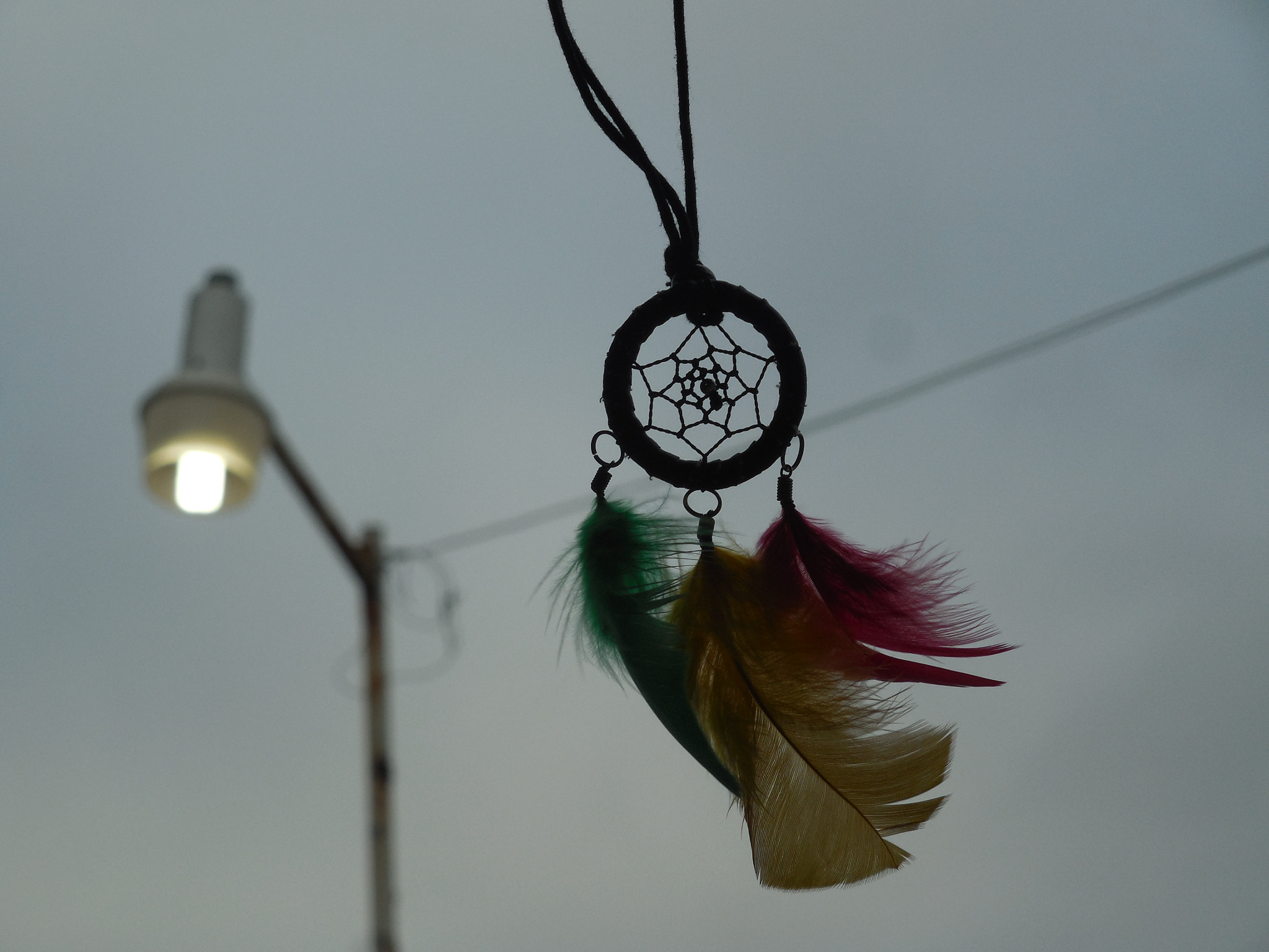 Nikon Coolpix L610 sample photo. Sweet dreams photography