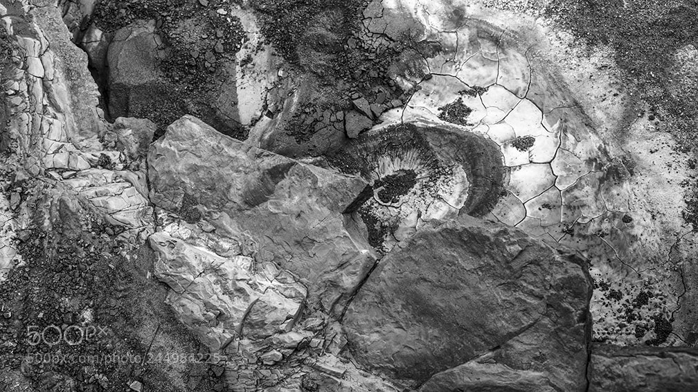 Fujifilm GFX 50S sample photo. Wash, puddle photography