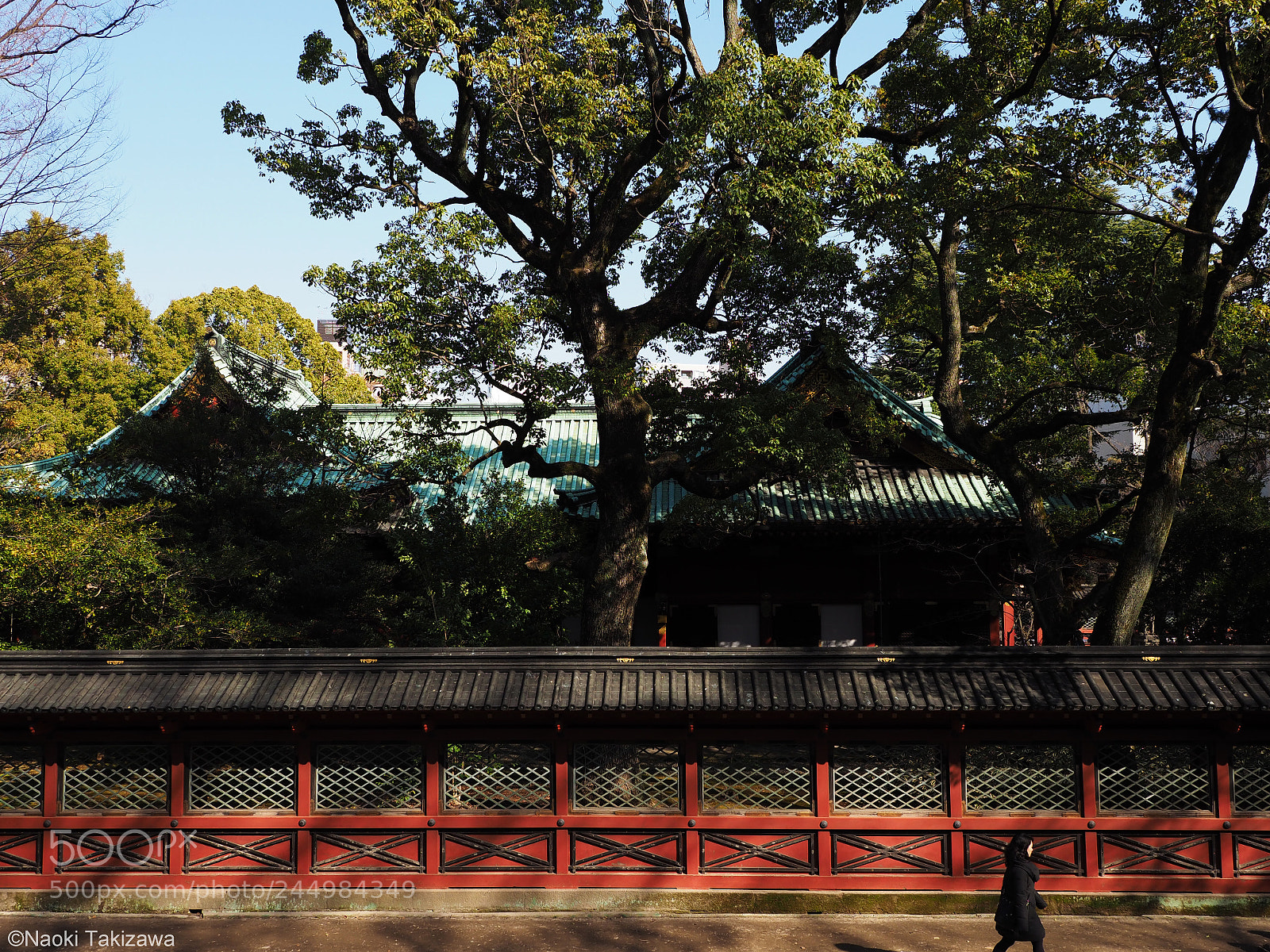 Olympus OM-D E-M1 Mark II sample photo. 根津神社 photography