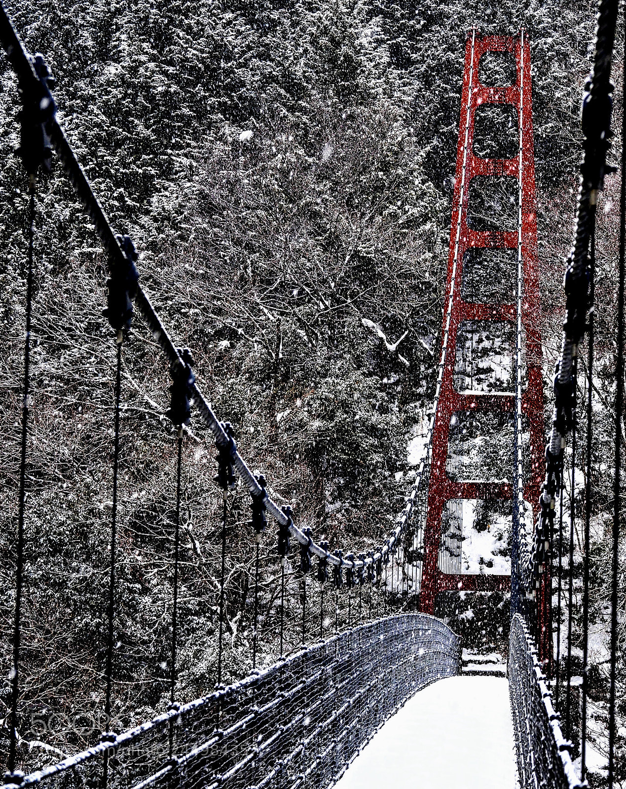Olympus OM-D E-M10 II sample photo. Snow and suspension bridge photography