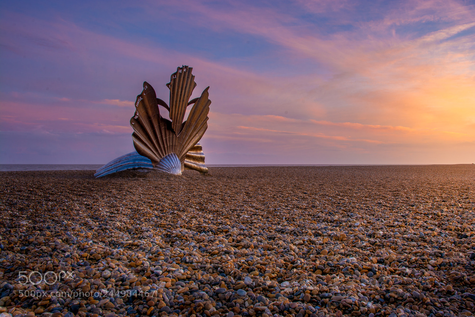 Nikon D7100 sample photo. Aldeburgh beach scallop shell photography