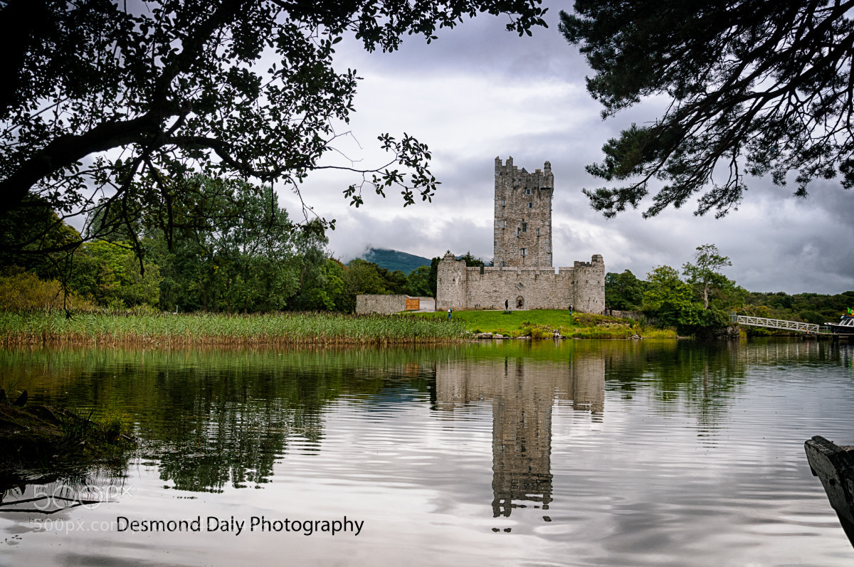 Nikon D300 sample photo. Ross castle dreamers view photography