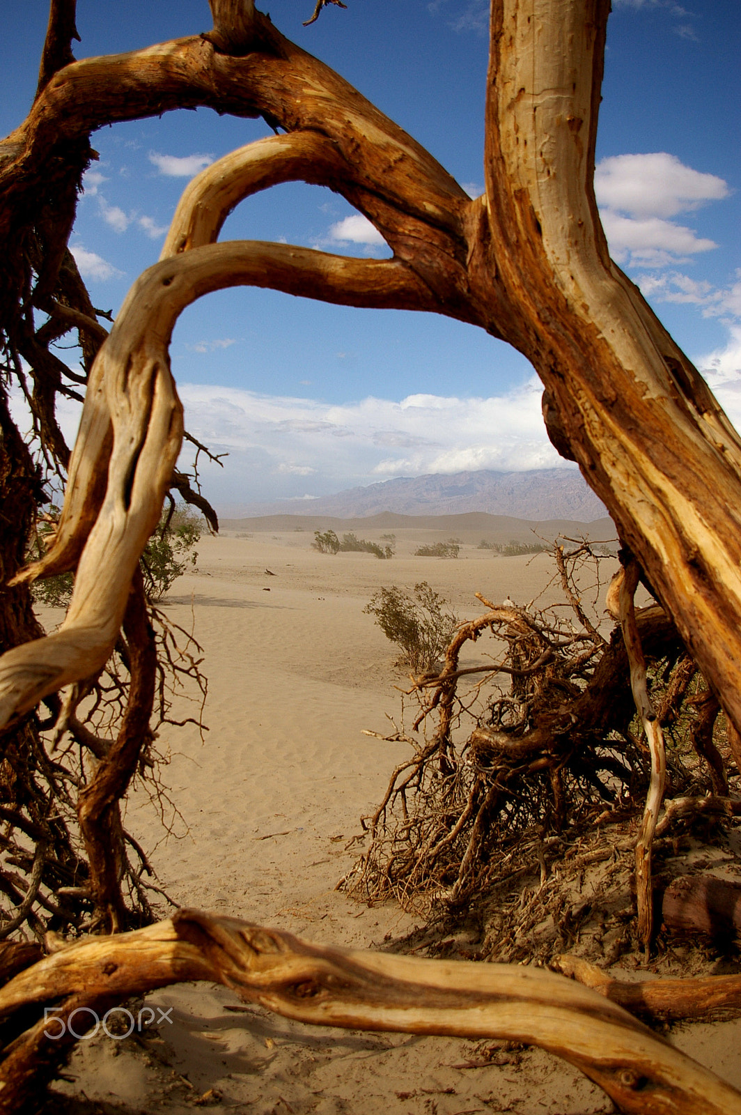 Samsung GX-1L sample photo. Mesquite flat sand dunes, death valley, usa photography