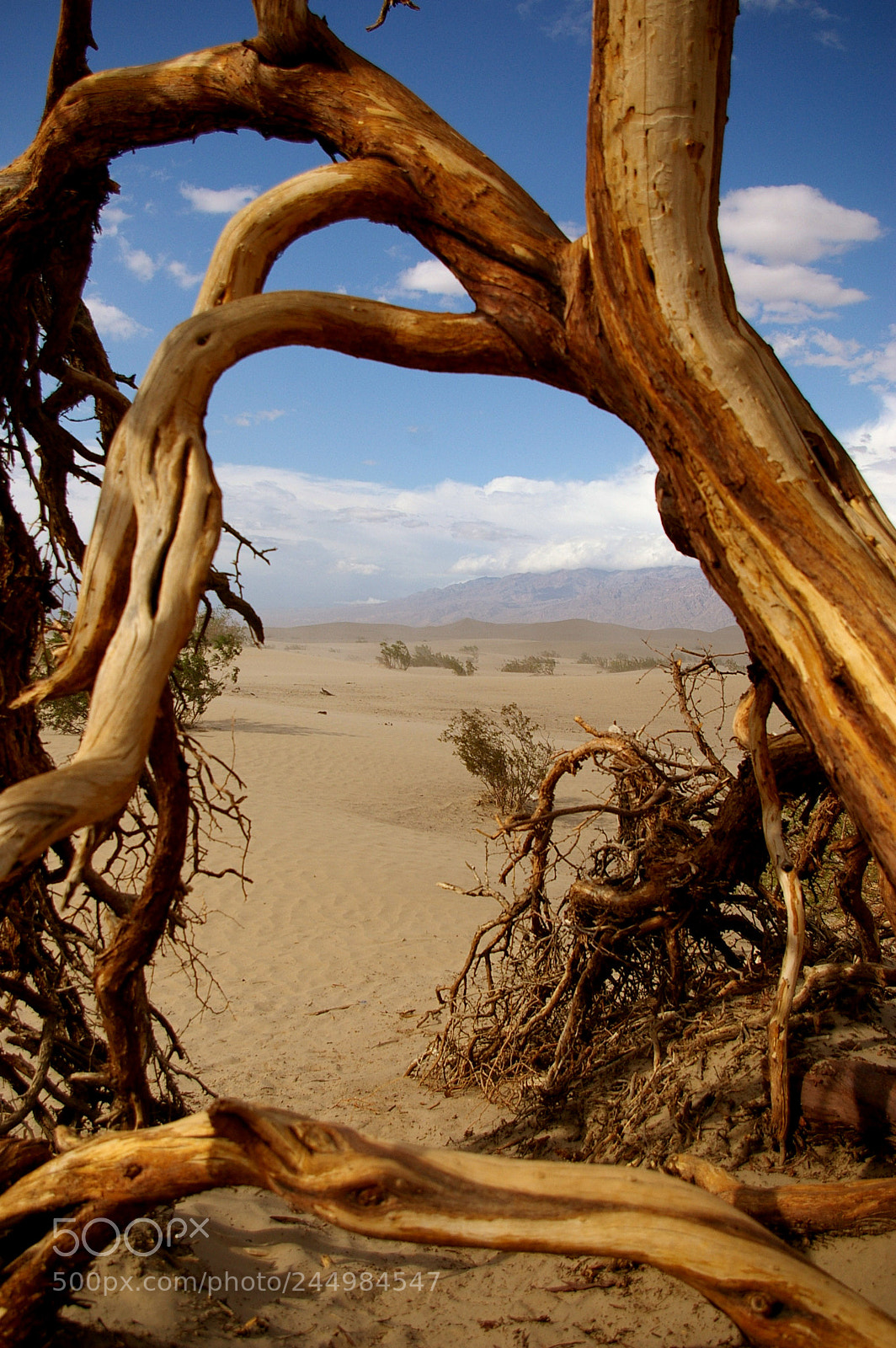 Samsung GX-1L sample photo. Mesquite flat sand dunes photography
