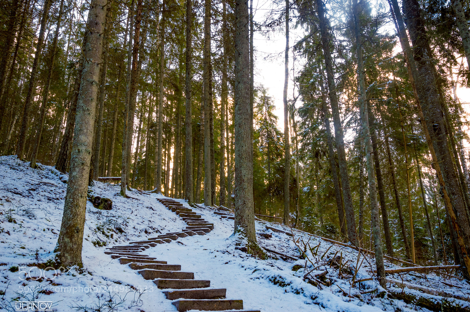 Nikon D3200 sample photo. Winter hill photography