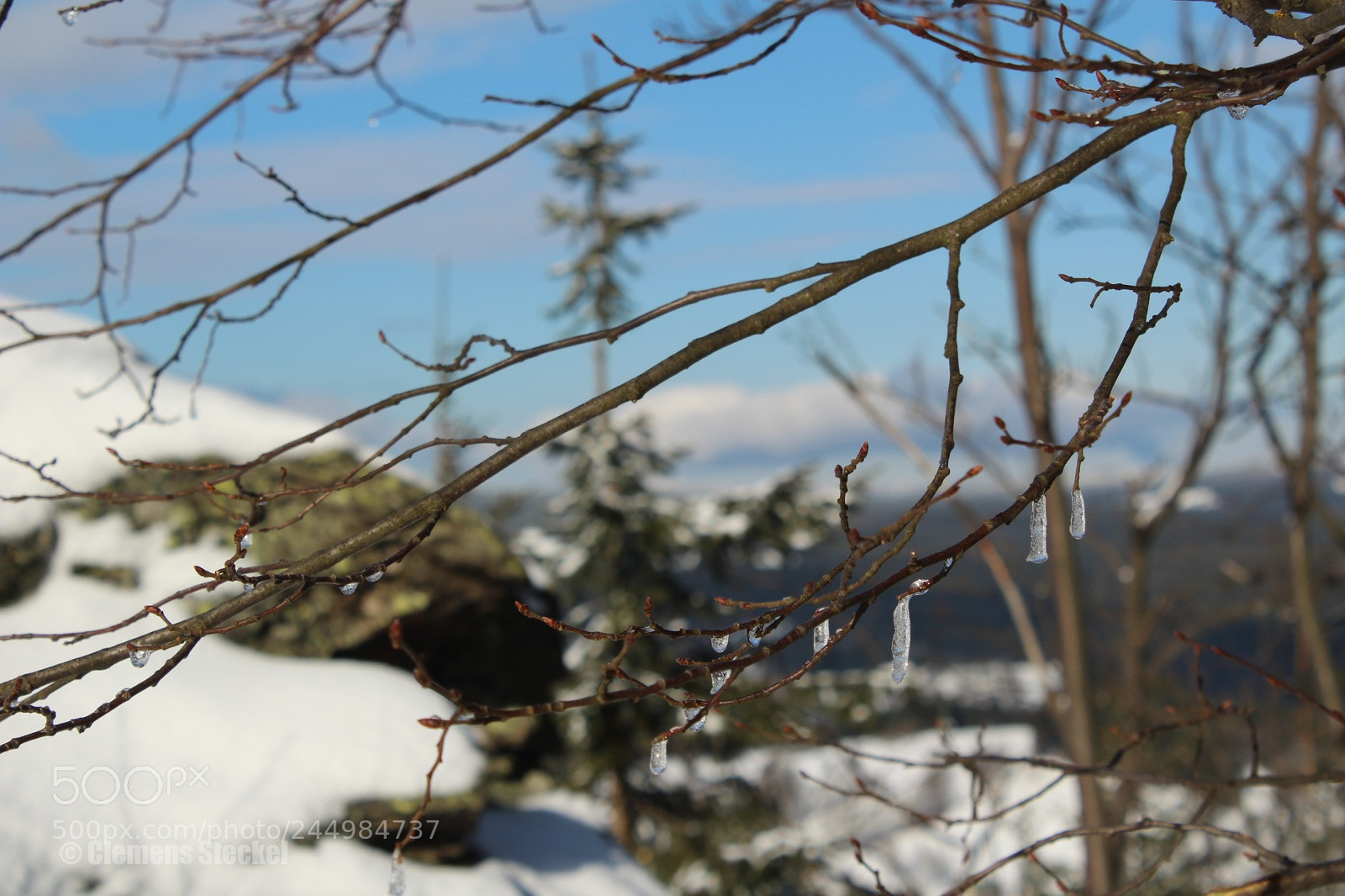 Canon EOS 1300D (EOS Rebel T6 / EOS Kiss X80) sample photo. Winter photography
