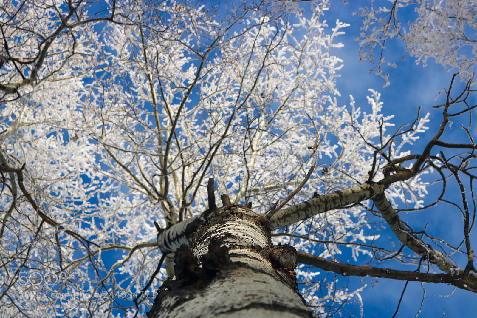 Canon EOS 750D (EOS Rebel T6i / EOS Kiss X8i) sample photo. Alberta, canada photography