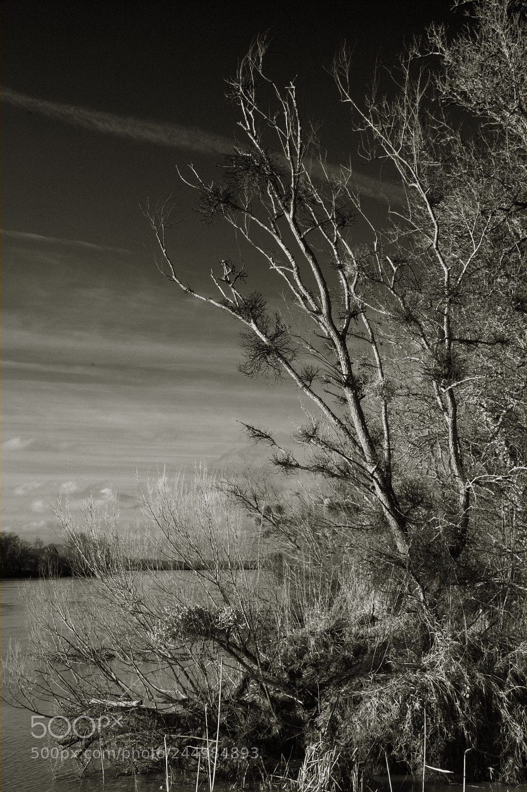 Nikon D7100 sample photo. River bank n2037.7.2 photography
