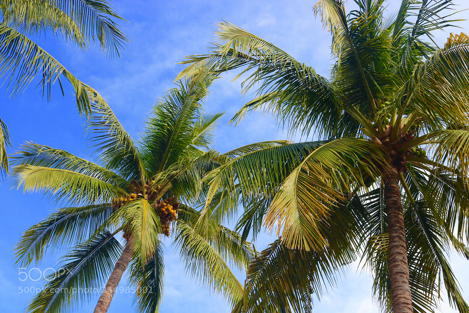 Canon EOS 750D (EOS Rebel T6i / EOS Kiss X8i) sample photo. Puerto vallarta - mexico photography