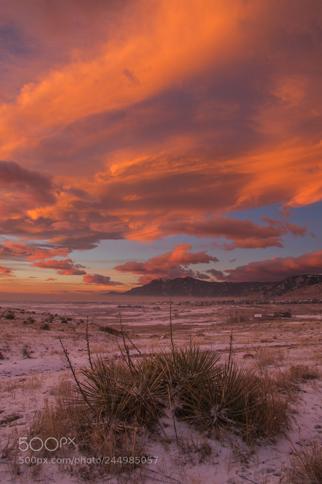 Pentax K-3 sample photo. Yucca sunrise photography