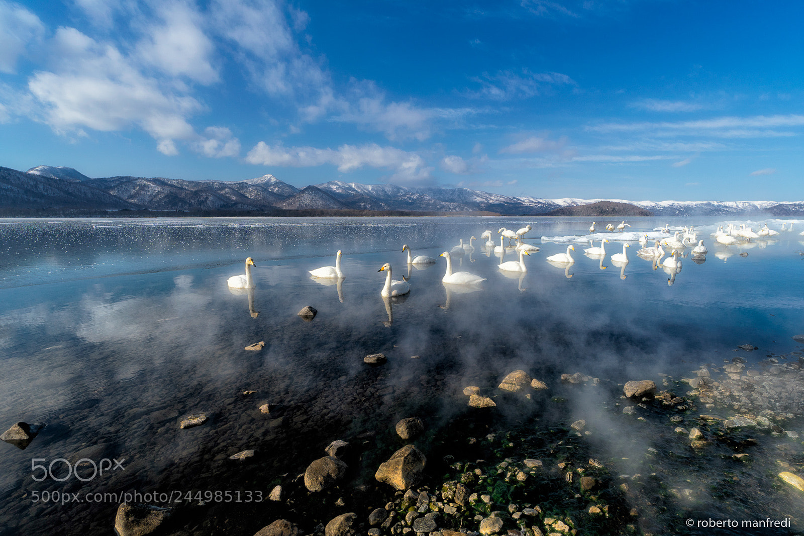 Sony a6500 sample photo. The swan lake photography