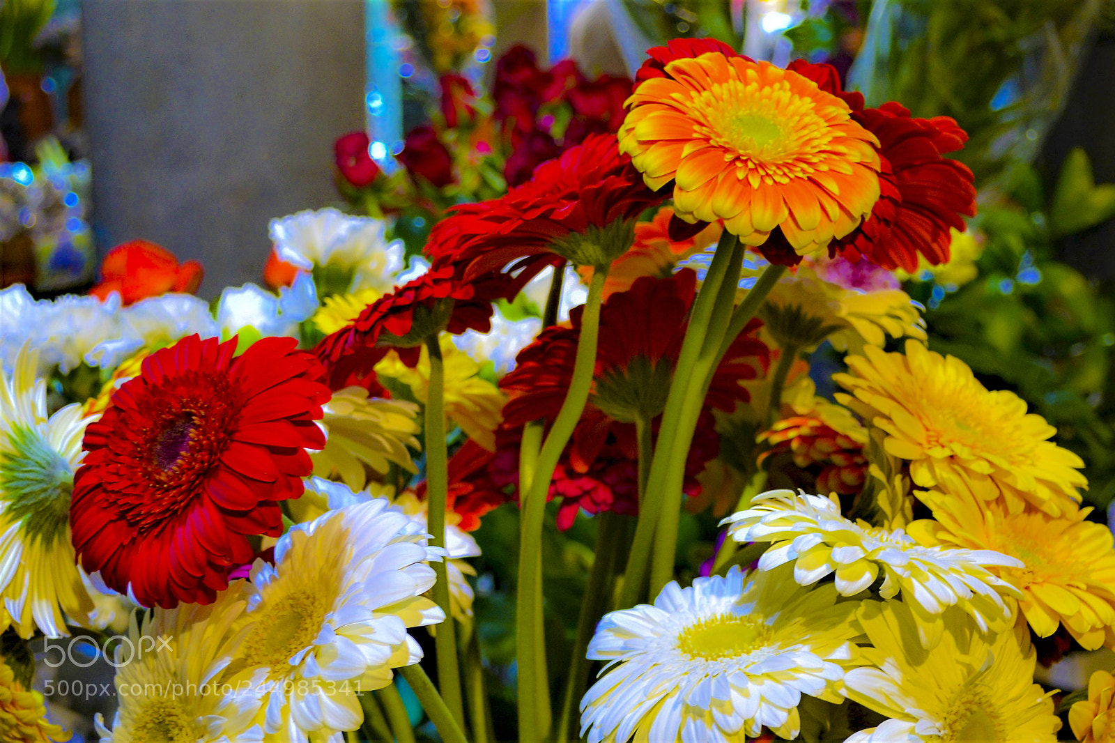Nikon D3100 sample photo. Funchal, madeira portugal photography
