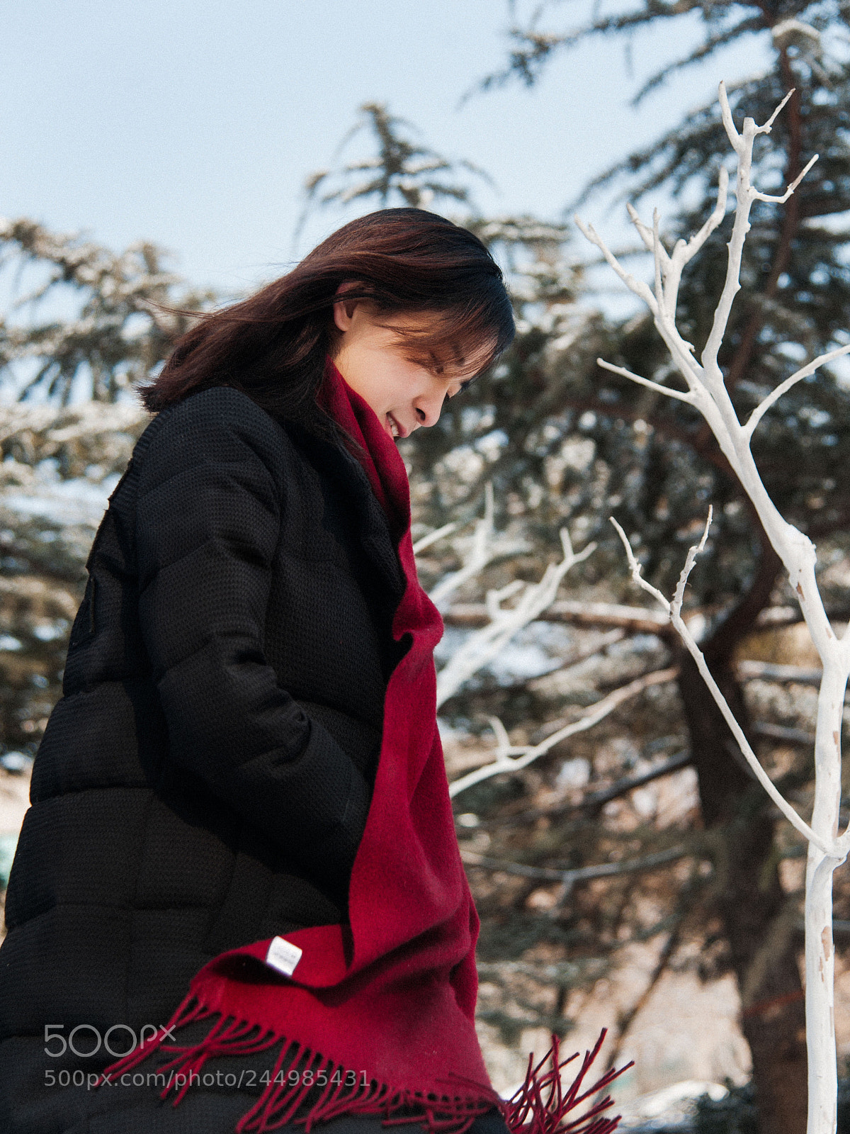 Nikon D700 sample photo. 雪 photography
