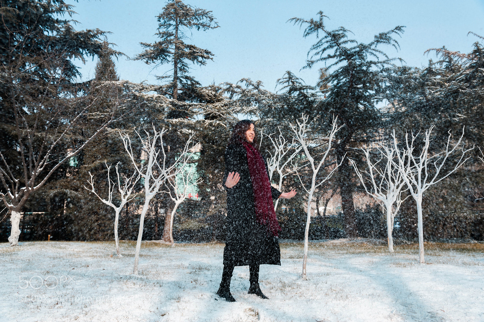 Nikon D700 sample photo. 雪 photography