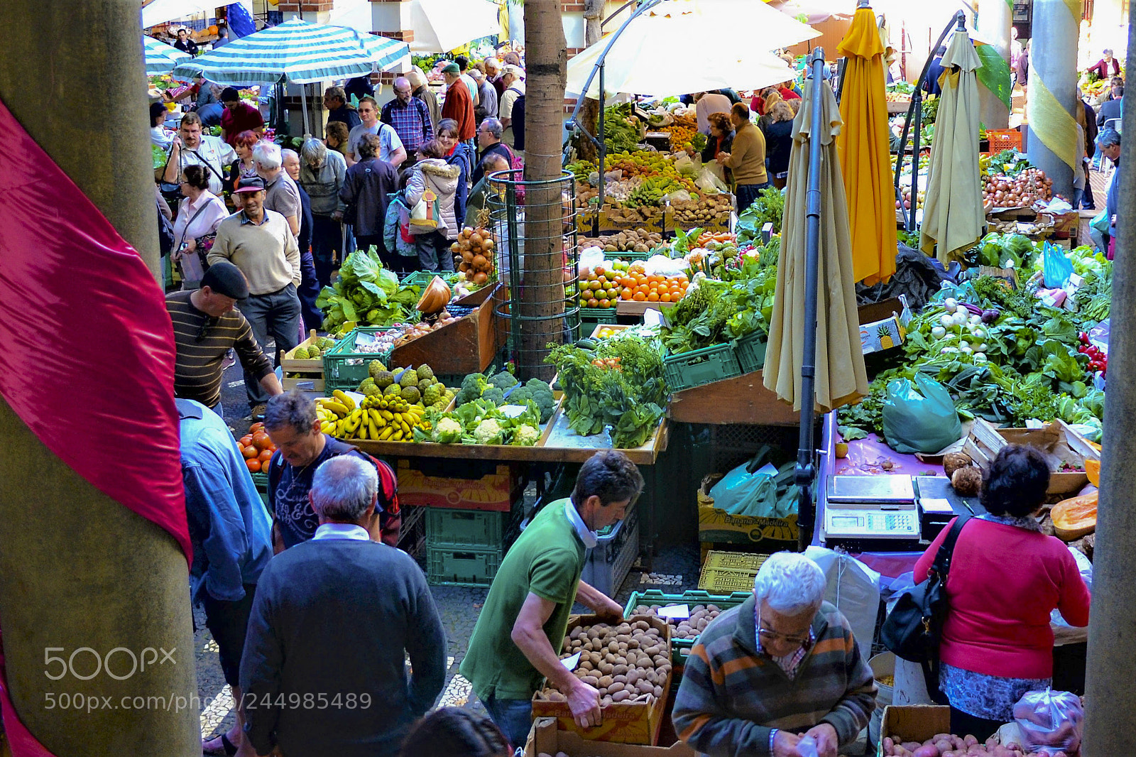 Nikon D3100 sample photo. Funchal, madeira portugal photography