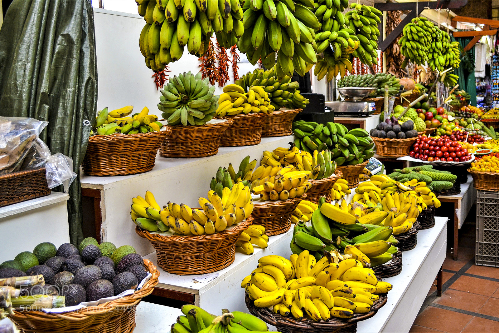Nikon D3100 sample photo. Funchal, madeira portugal photography