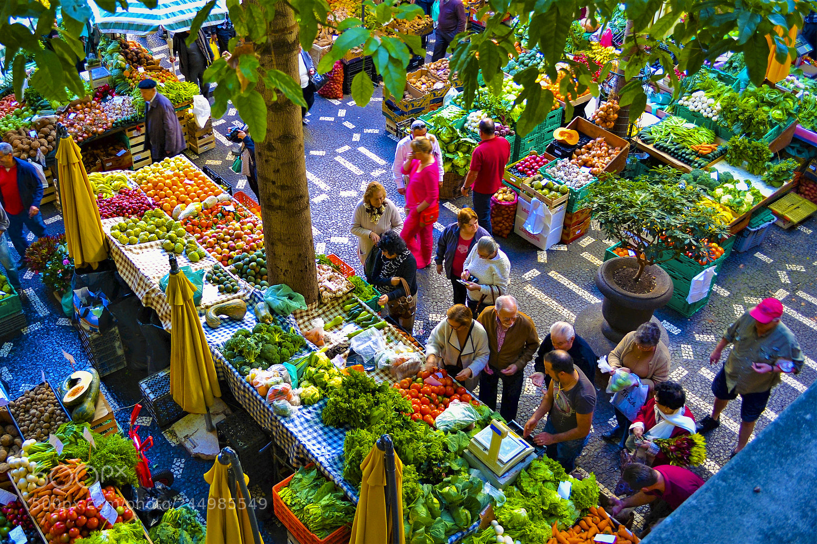 Nikon D3100 sample photo. Funchal, madeira portugal photography