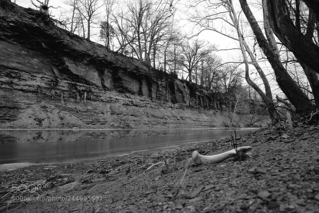 Sony Alpha NEX-6 sample photo. 52 weeks week five photography