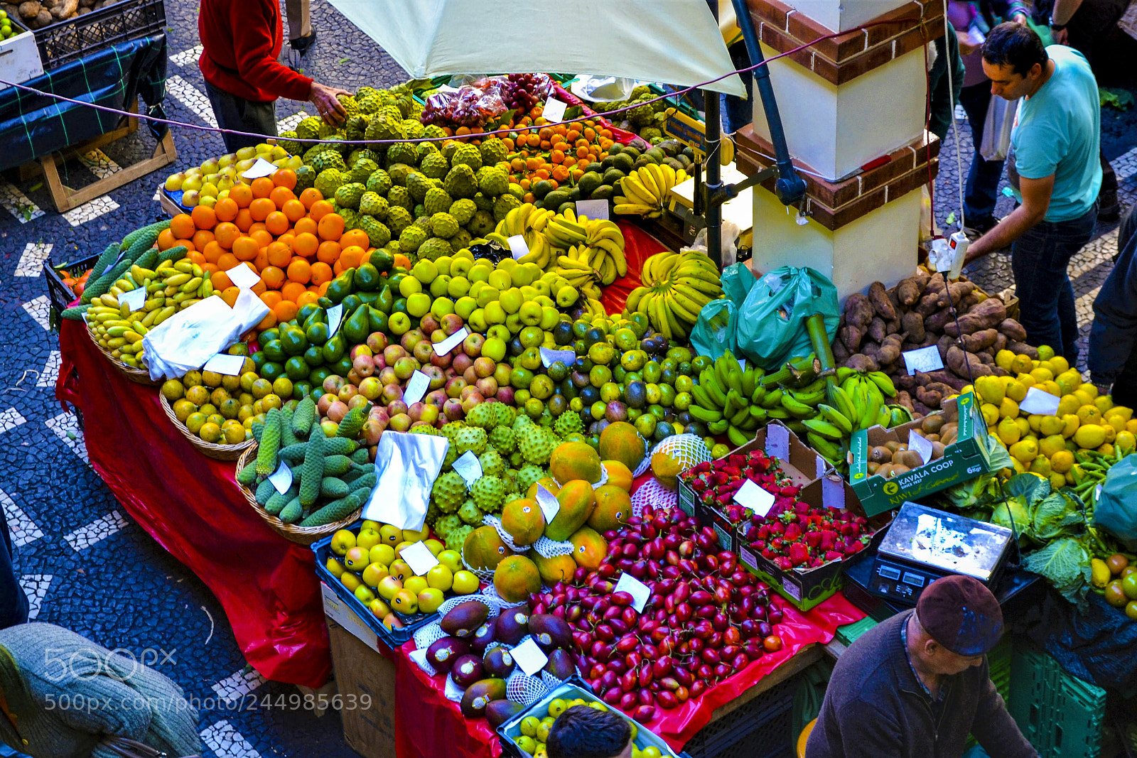 Nikon D3100 sample photo. Funchal, madeira portugal photography