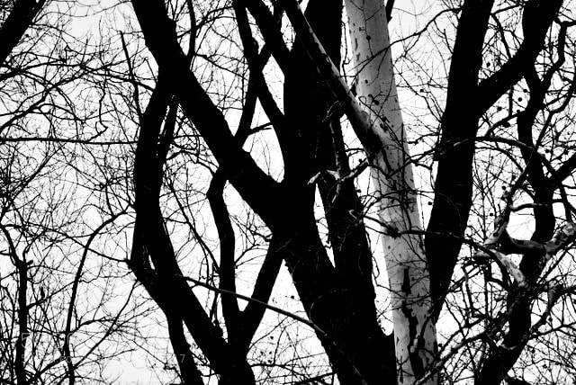 Sony Alpha NEX-6 sample photo. Untitled photography