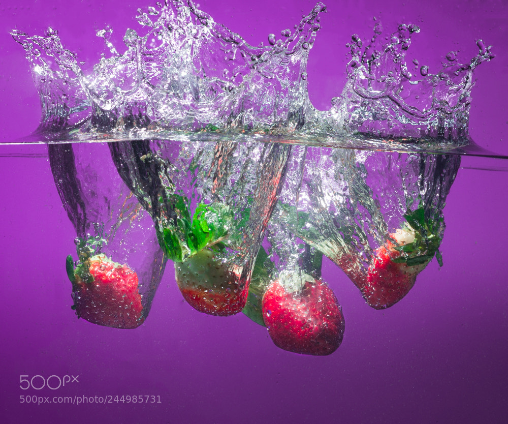 Nikon D5000 sample photo. Drips, drops, and splashes photography