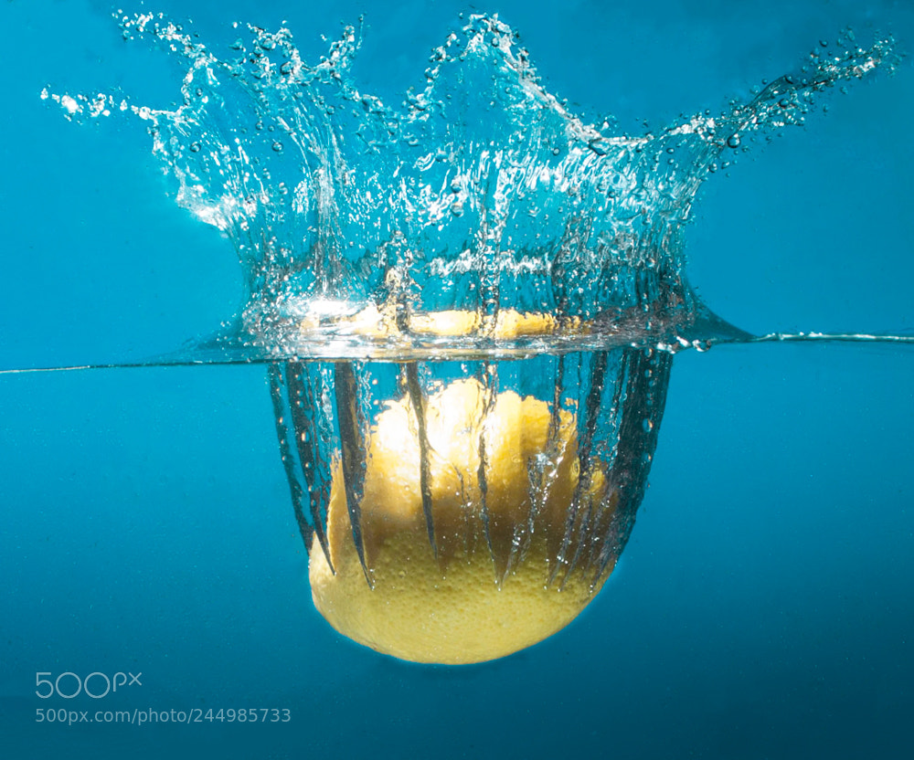 Nikon D5000 sample photo. Drips, drops, and splashes photography