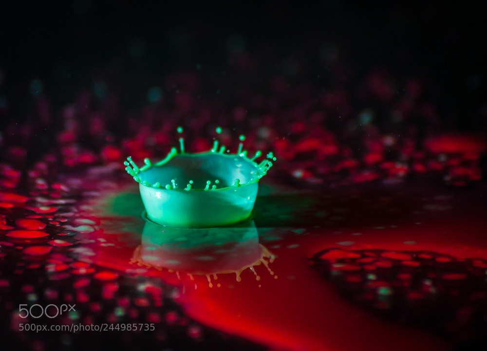 Nikon D5000 sample photo. Drips, drops, and splashes photography