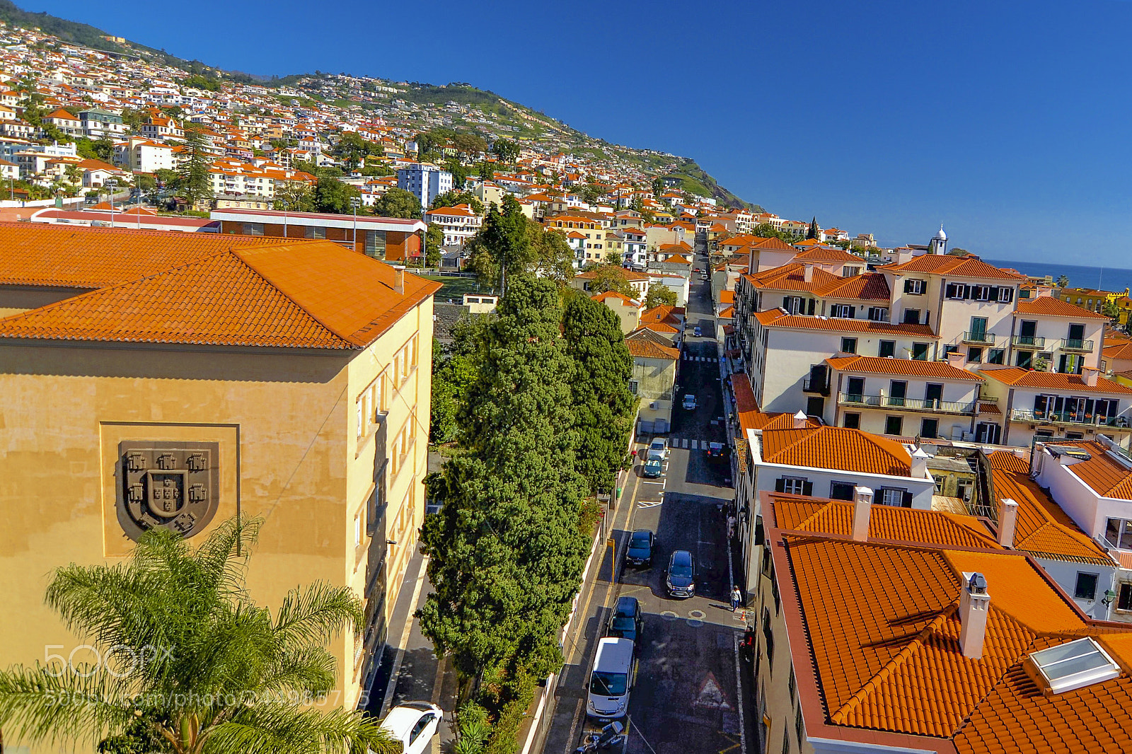 Nikon D3100 sample photo. Funchal, madeira portugal photography