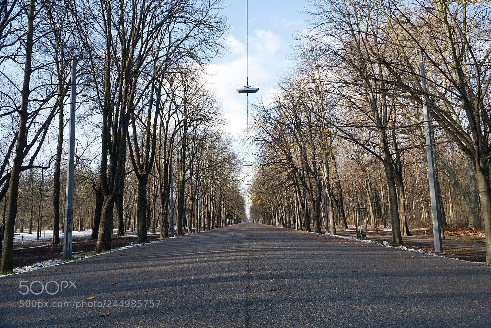 Sony a6500 sample photo. Prater park in vienna photography