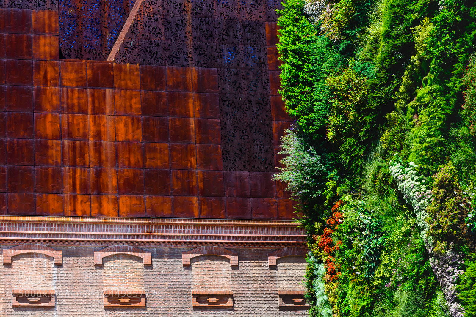 Nikon D7100 sample photo. Living wall photography