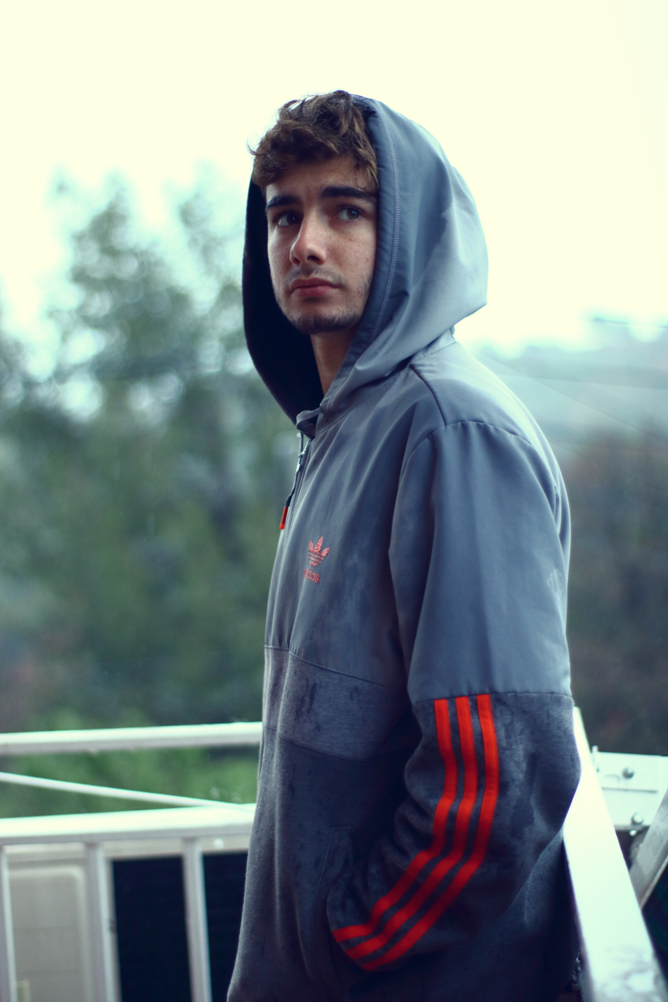 Canon 50mm sample photo