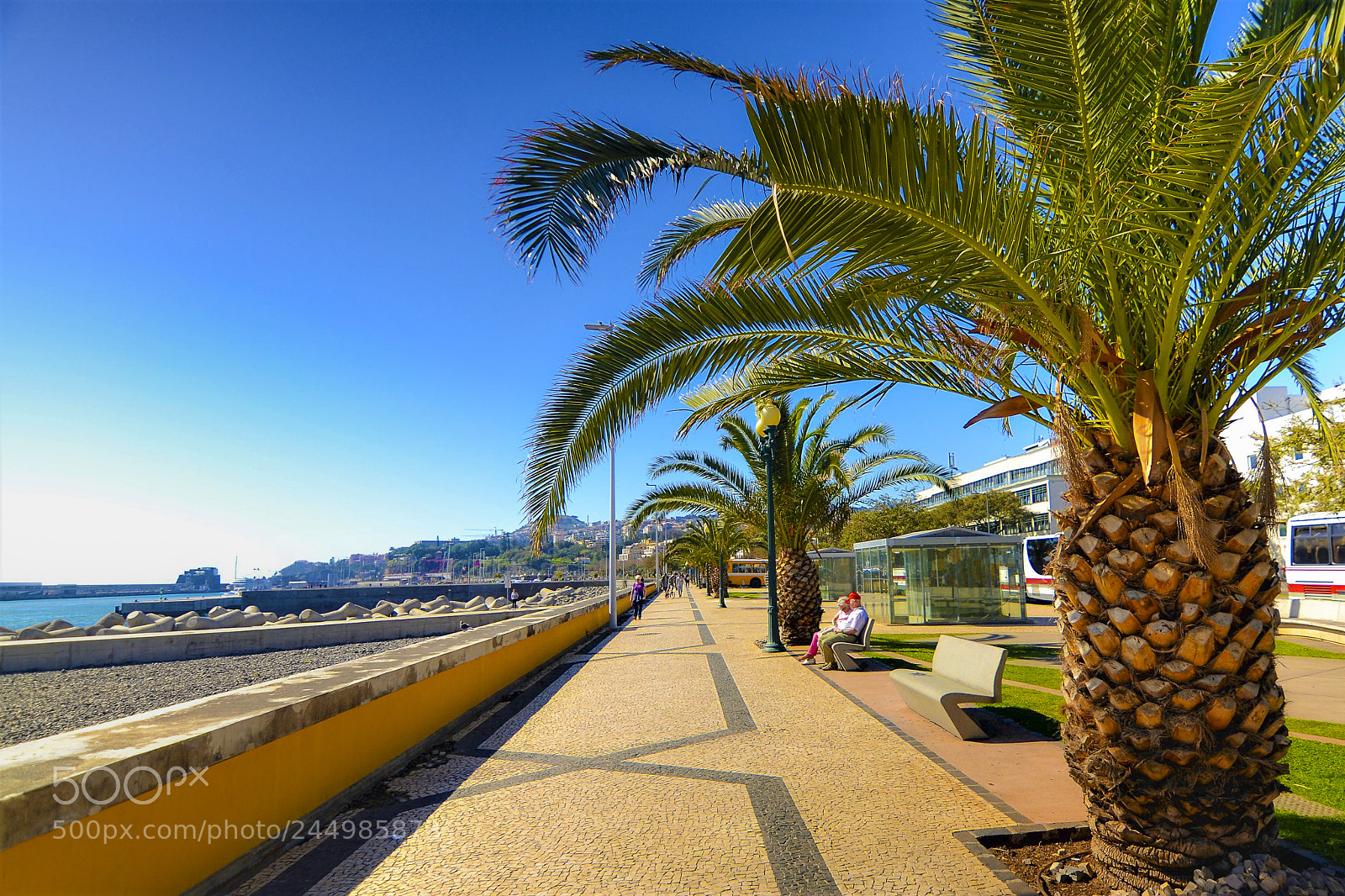 Nikon D3100 sample photo. Funchal, madeira portugal photography