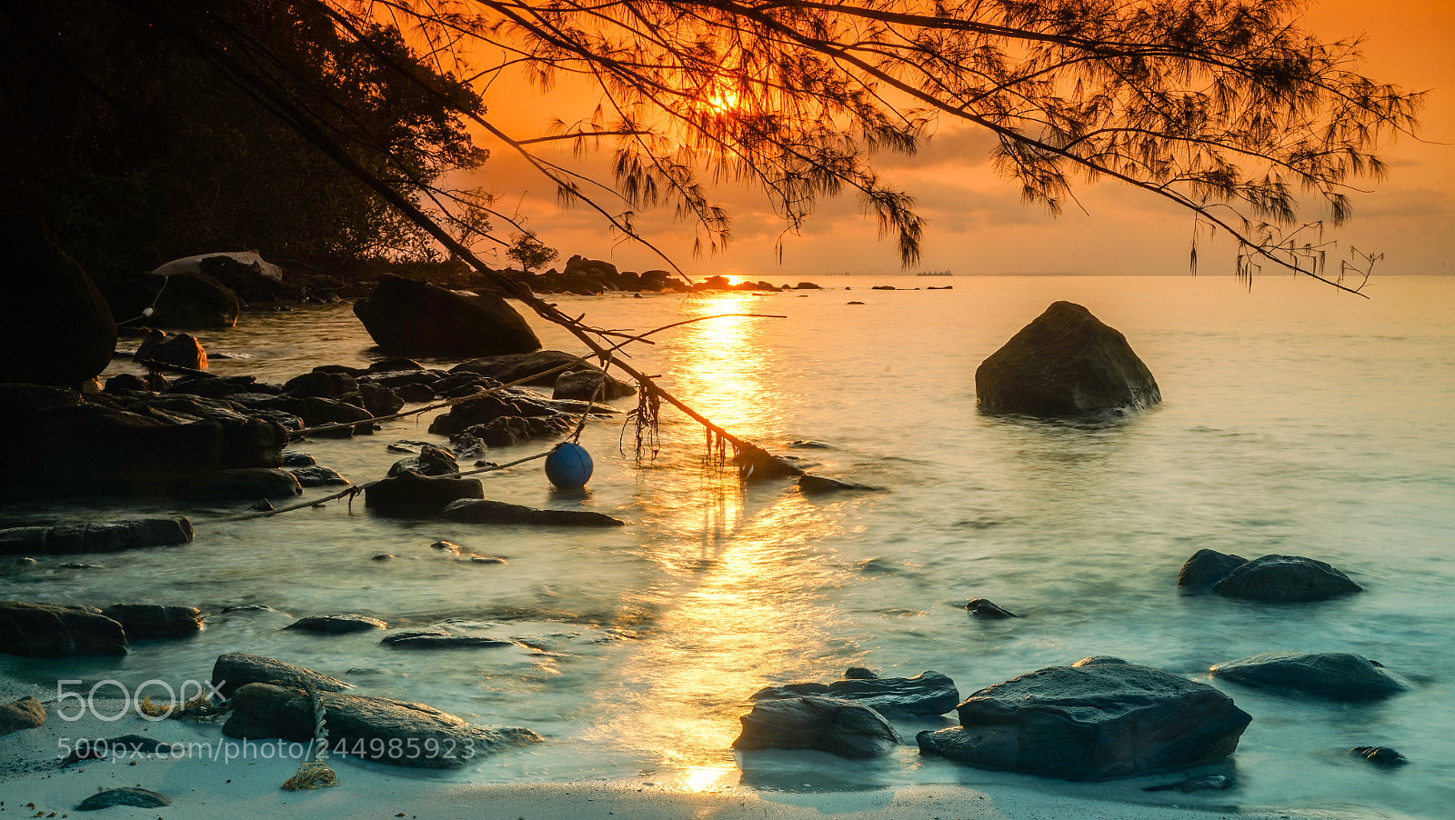 Sony a7R sample photo. Sunries photography