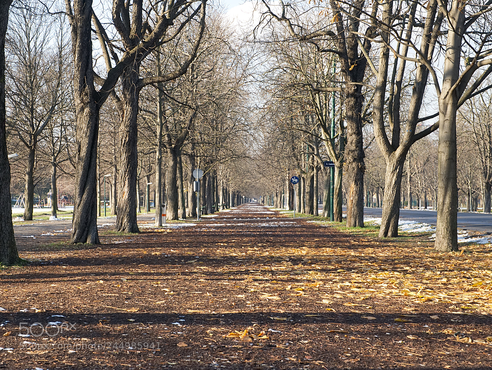 Sony a6500 sample photo. Prater park in vienna photography