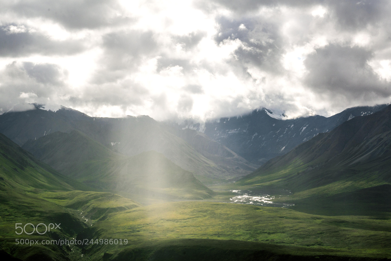 Sony SLT-A65 (SLT-A65V) sample photo. Denali tundra photography