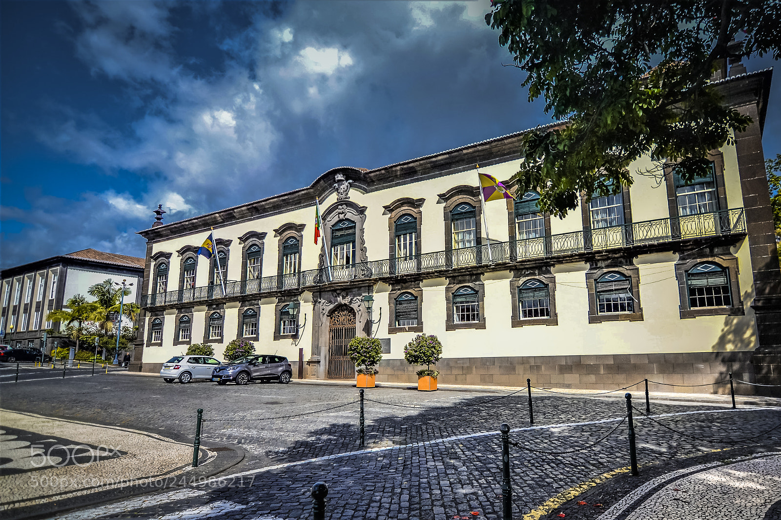 Nikon D3100 sample photo. Funchal, madeira portugal photography
