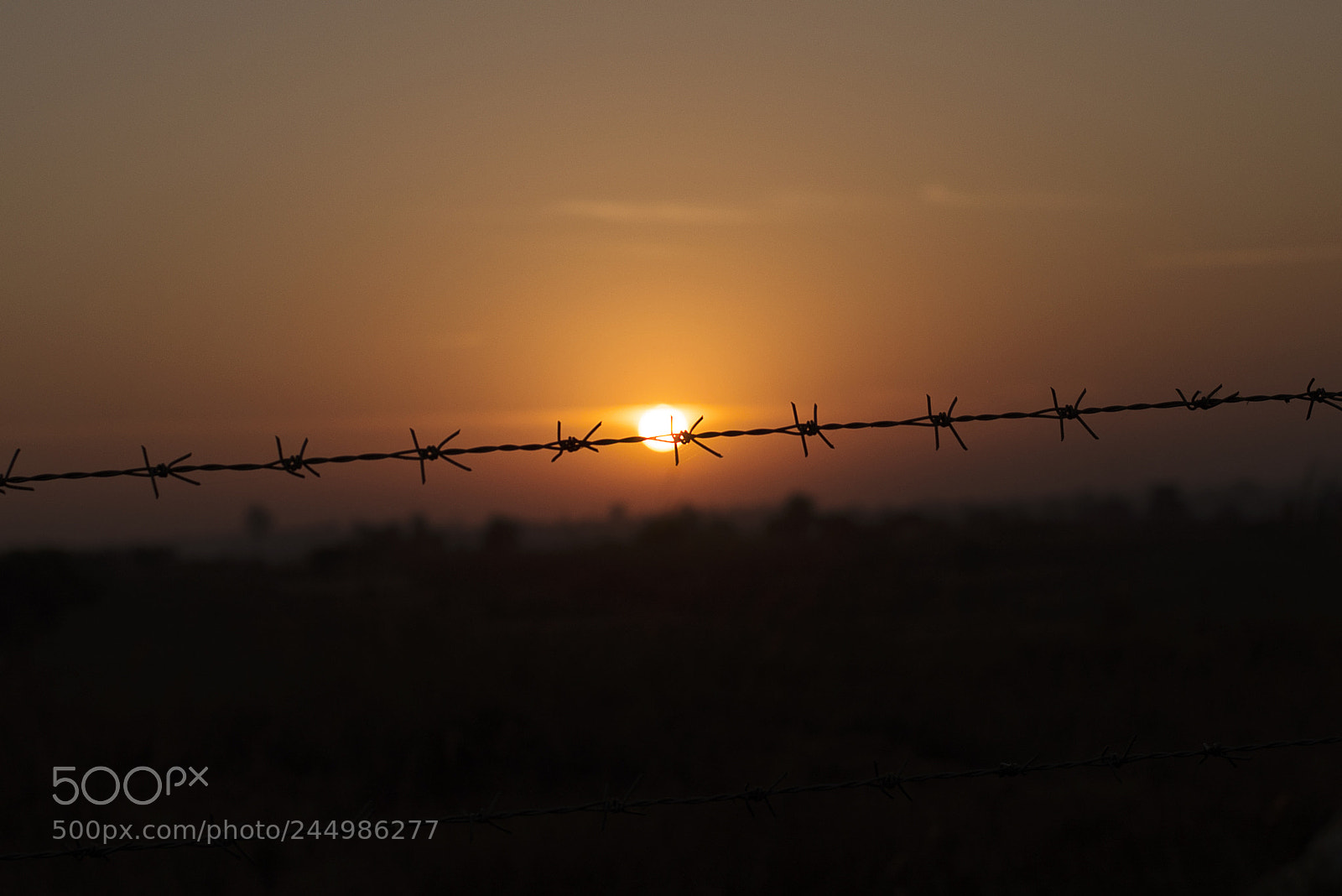 Nikon D610 sample photo. Sunrise photography