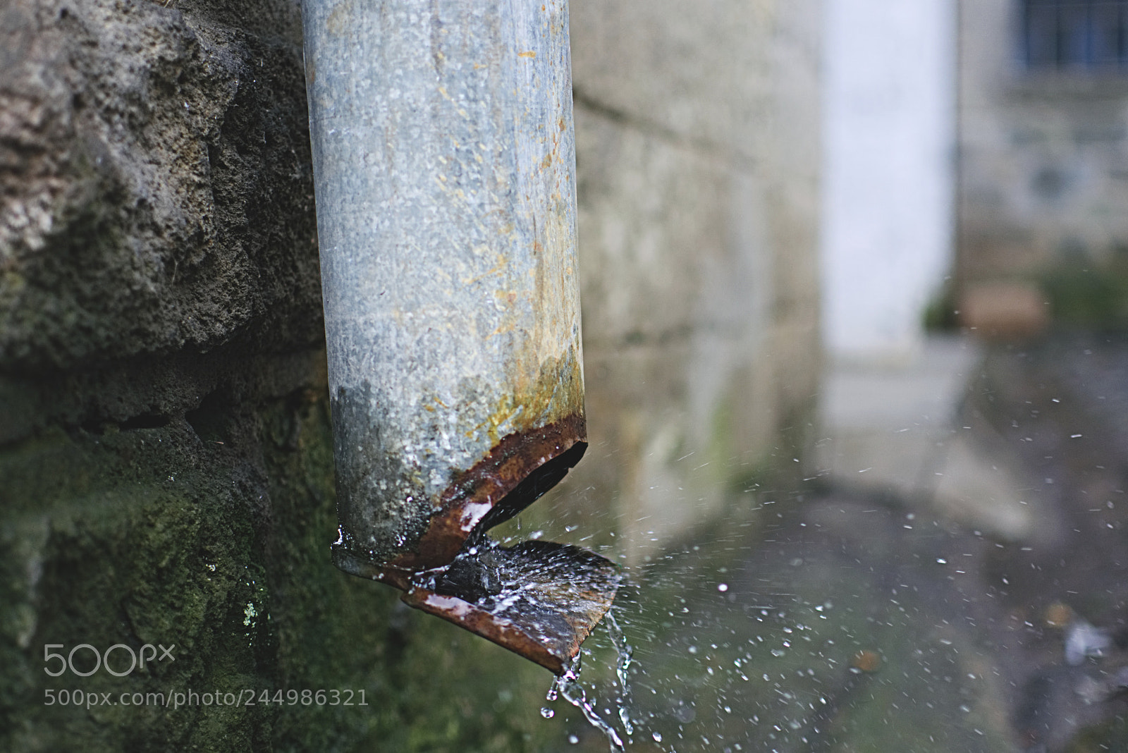 Nikon D7200 sample photo. Raining photography
