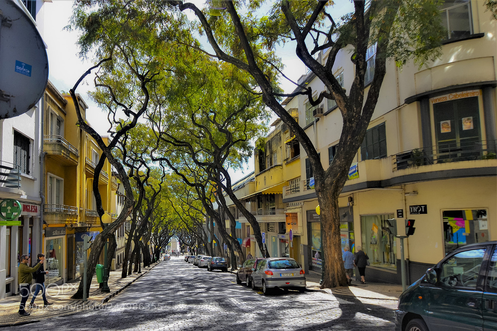 Nikon D3100 sample photo. Funchal, madeira portugal photography