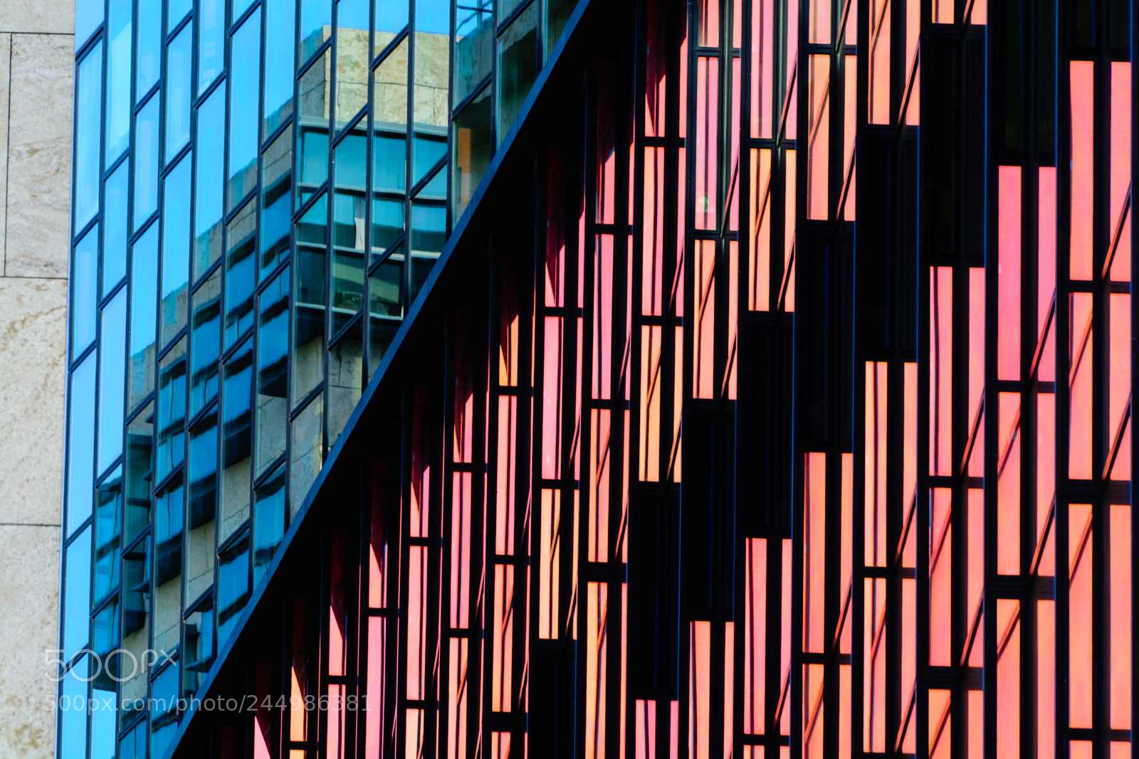 Nikon D7100 sample photo. Conservatorium 2 photography
