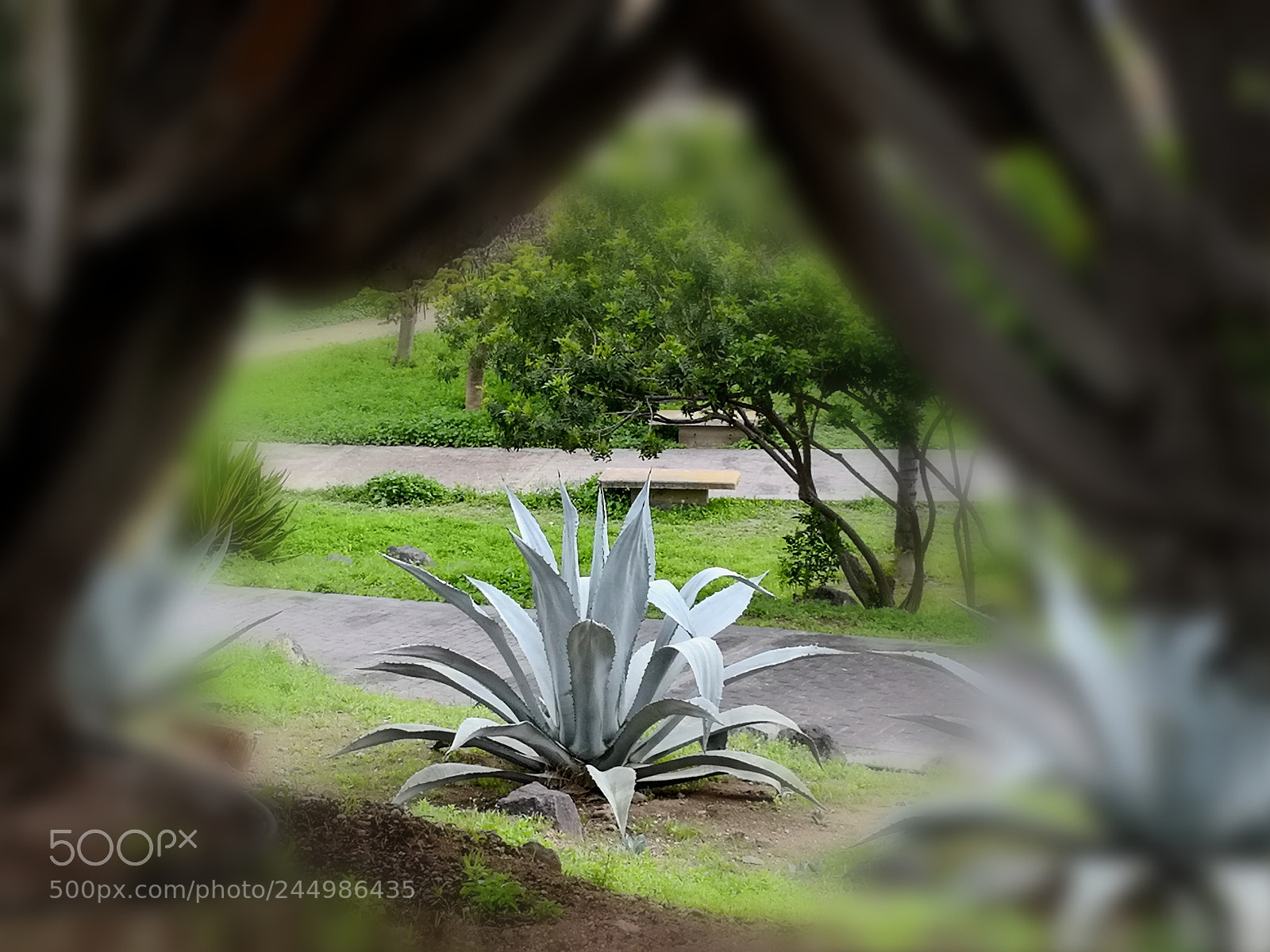 HUAWEI Mate 10 sample photo. Framed photography