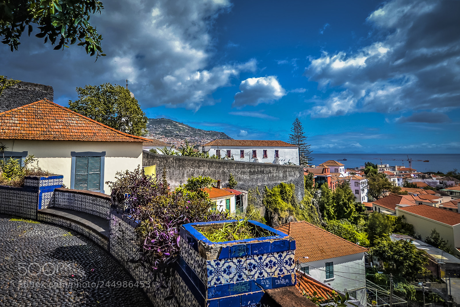 Nikon D3100 sample photo. Funchal, madeira portugal photography