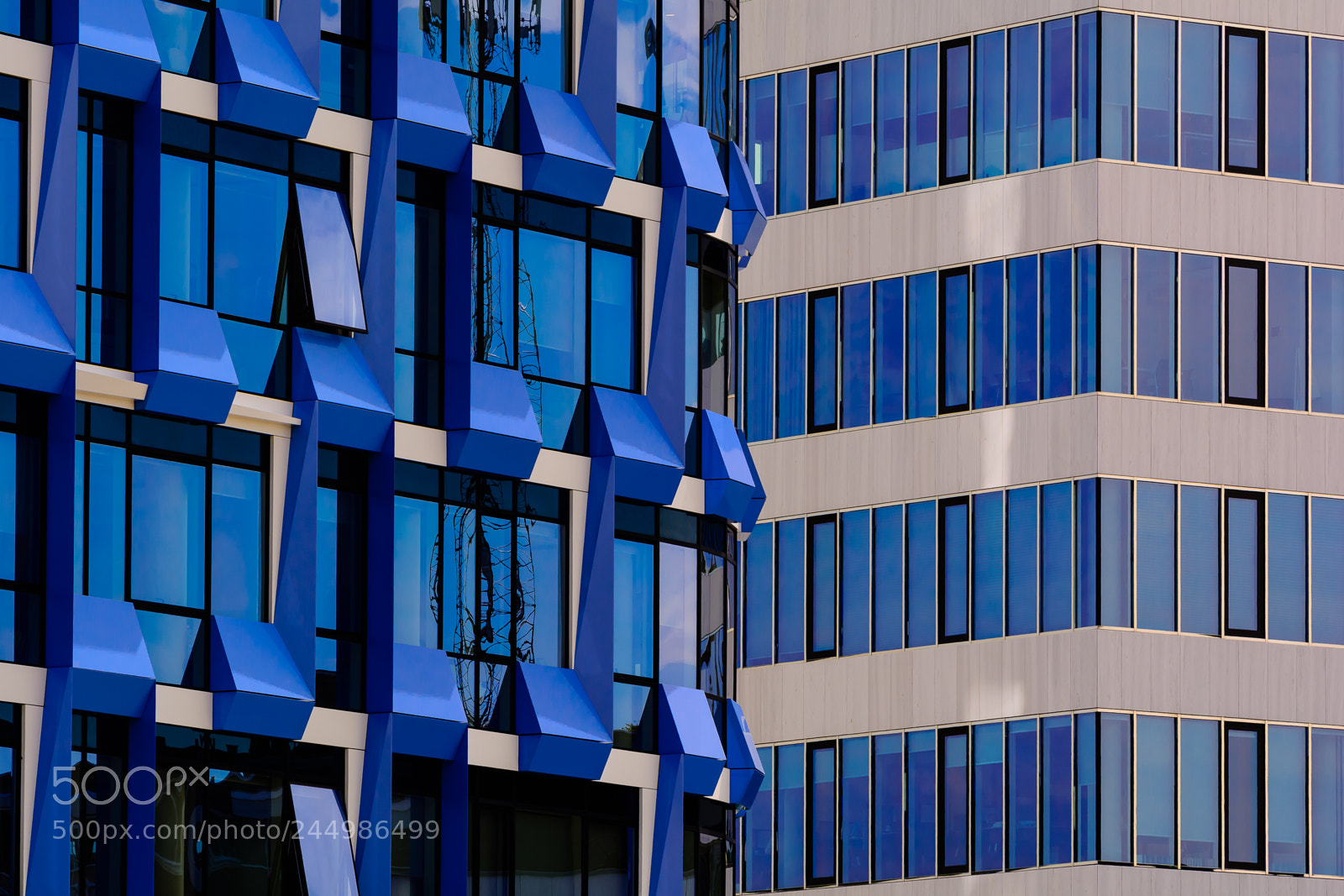 Nikon D7100 sample photo. Blue bijou photography