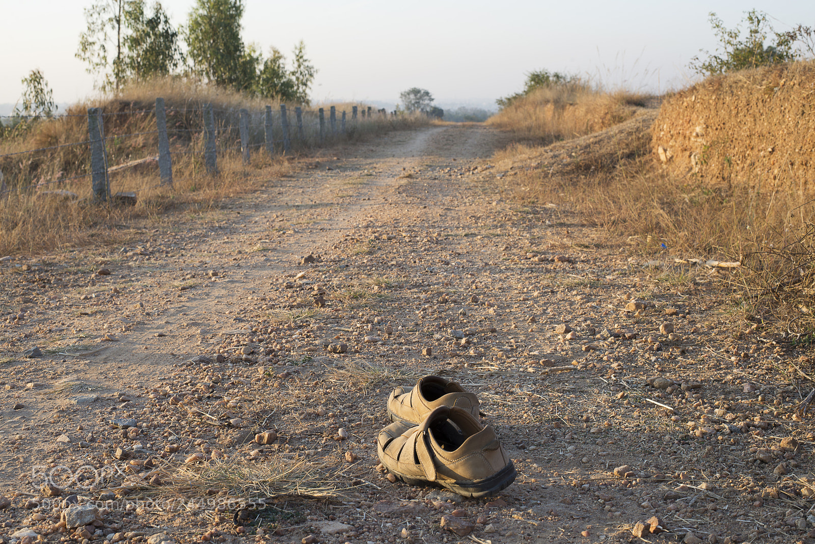Nikon D610 sample photo. Road to urbanisation. photography