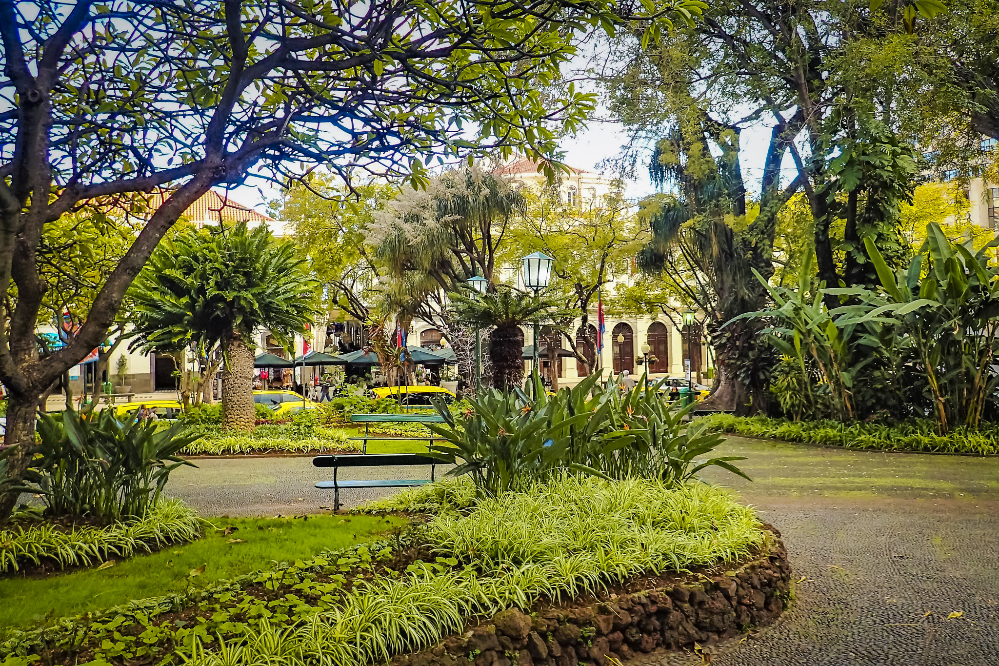 Olympus TG-3 sample photo. Funchal, madeira / portugal - city carden photography