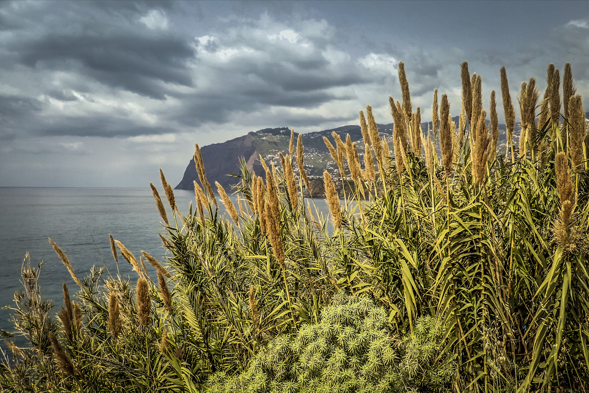 Olympus TG-3 sample photo. Funchal, madeira / portugal - cliff view photography