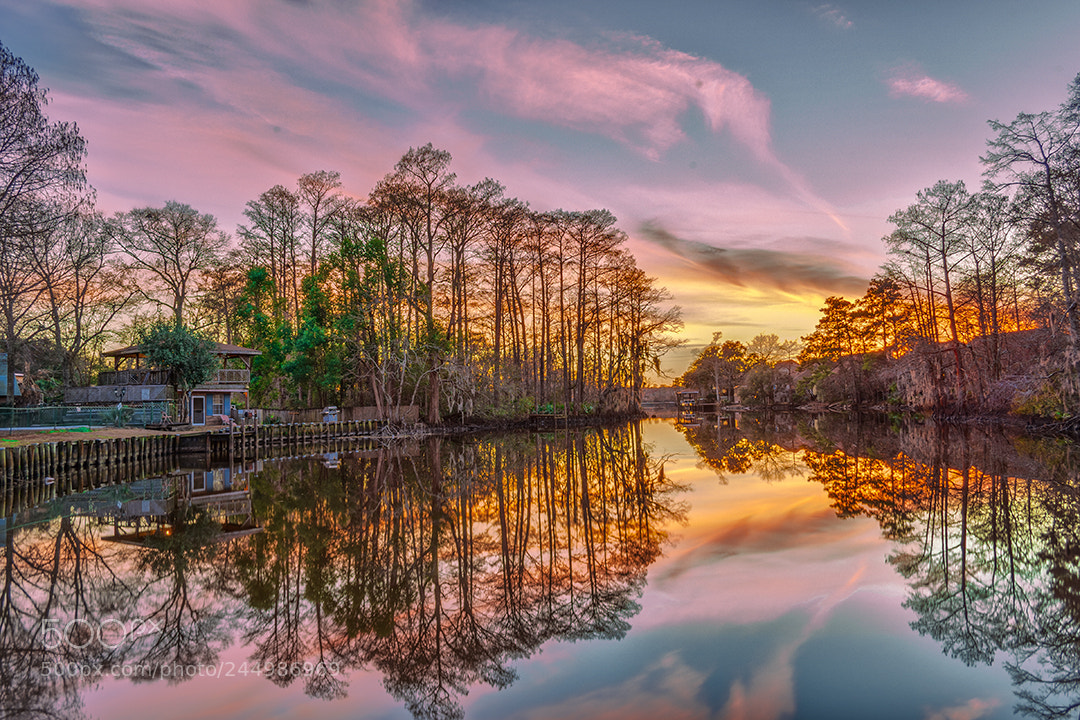 Nikon D810 sample photo. Bayou photography