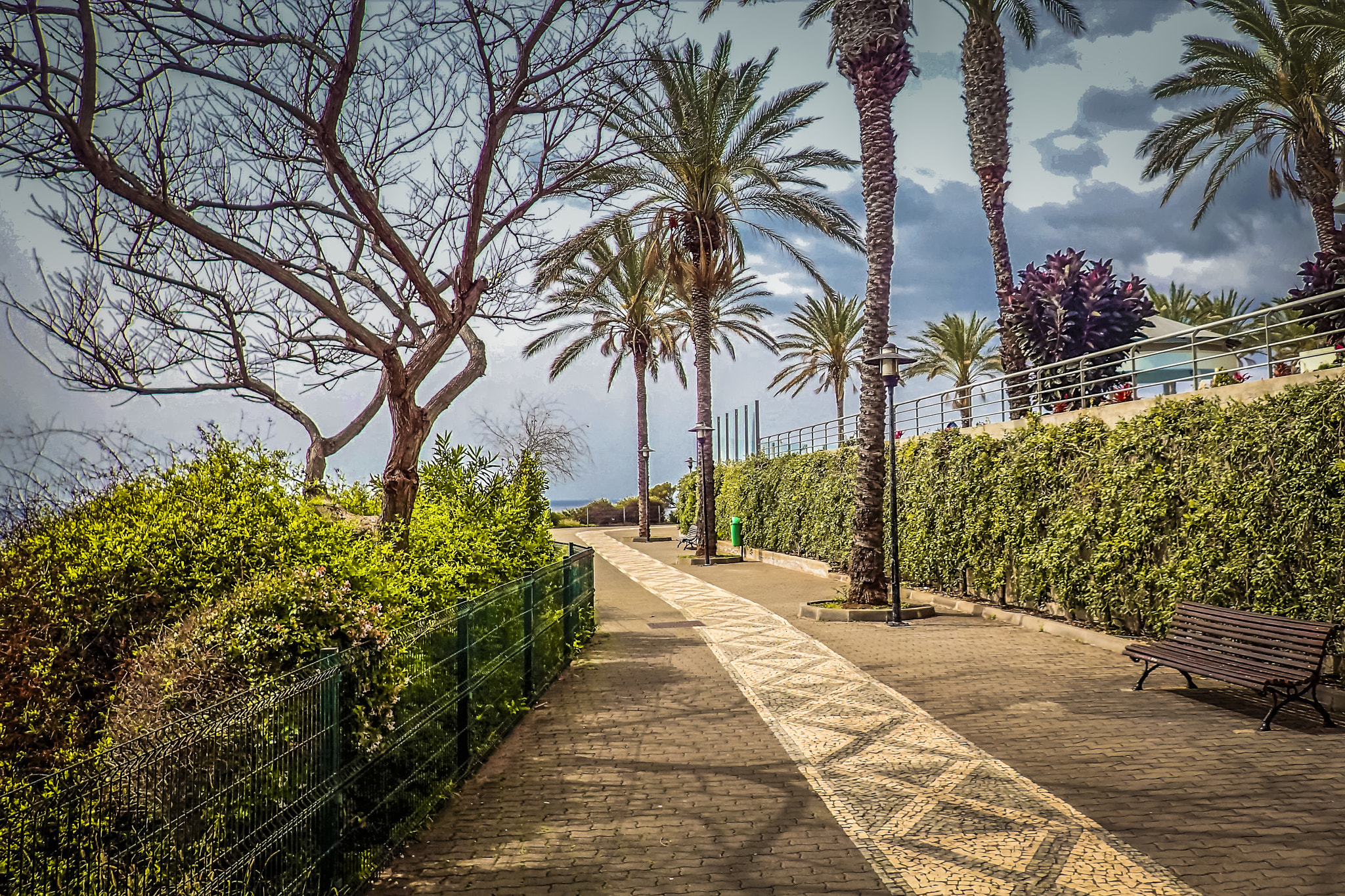 Olympus TG-3 sample photo. Funchal, madeira / portugal - promenade photography