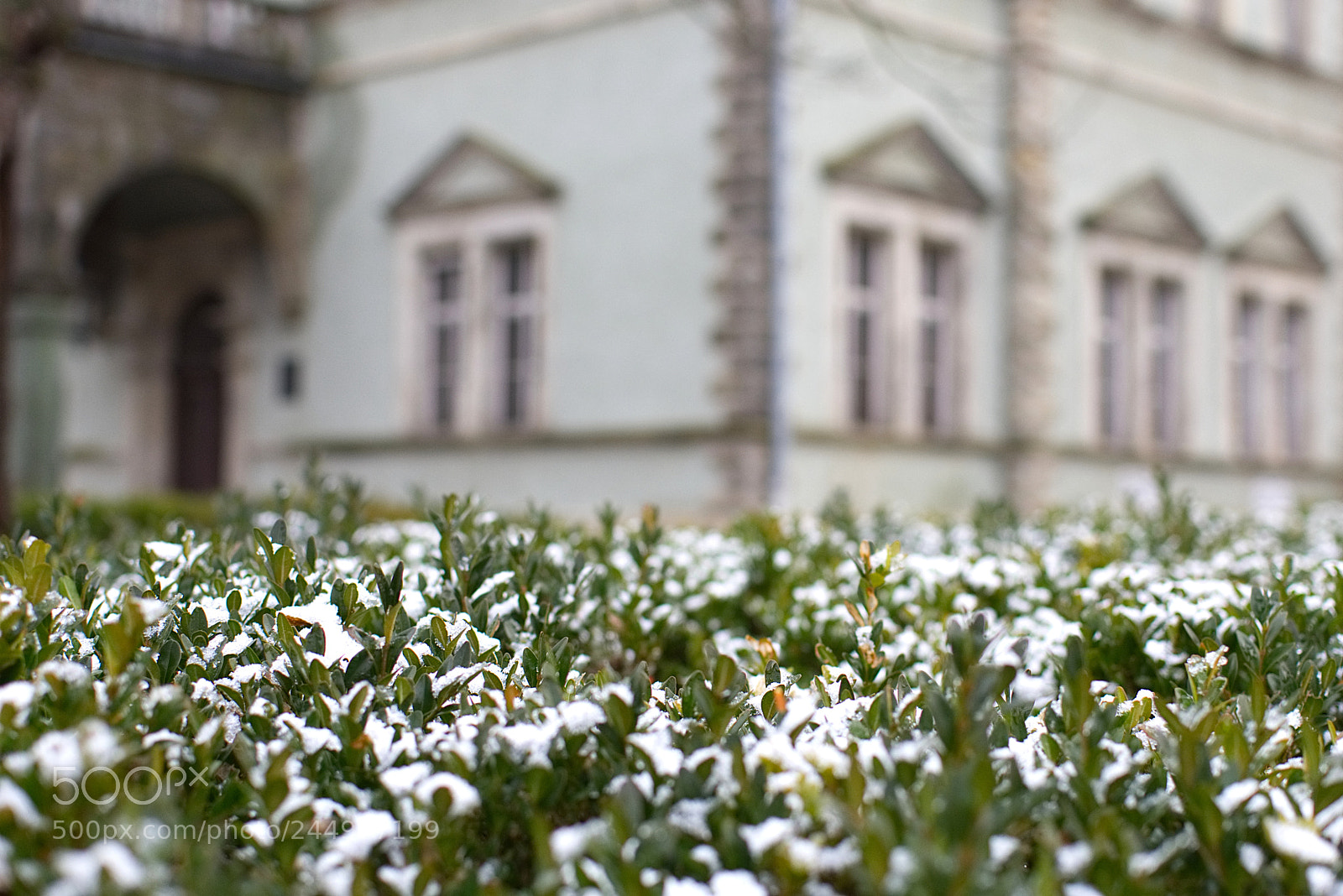 Nikon D7200 sample photo. Winter castle look photography